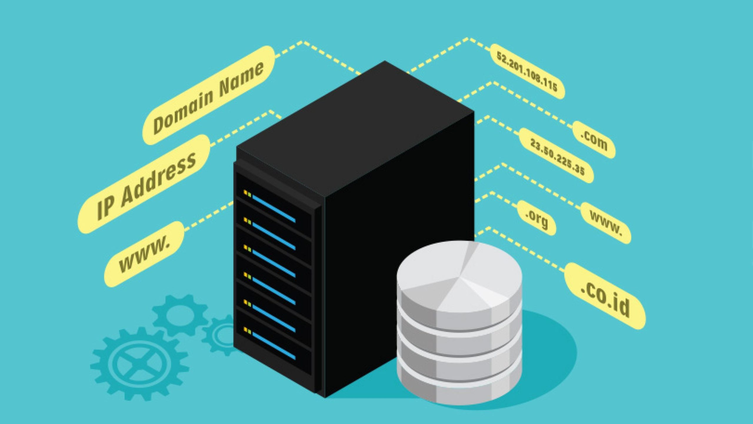 Dns domain name system